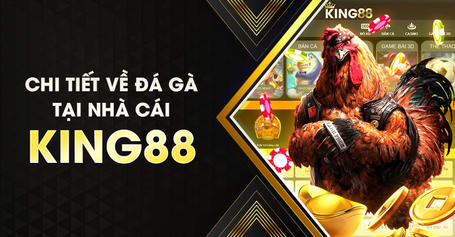 Đá gà King88 có gì nổi bật